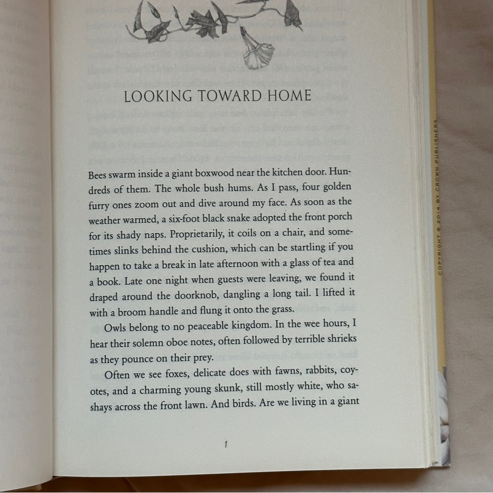 π’ Under Magnolia: A Southern Memoir by Frances Mayes | Memoir | Hardcover Book - Picture 5 of 6